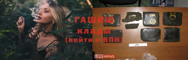 стафф Алзамай
