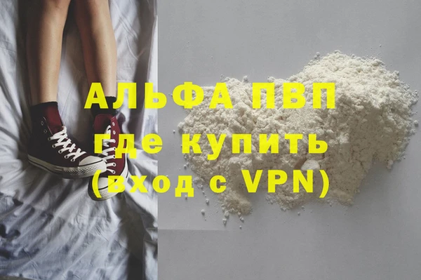 стафф Алзамай