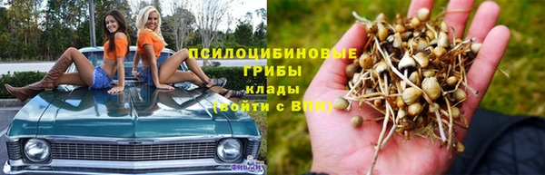 ПСИЛОЦИБИНОВЫЕ ГРИБЫ Алексин