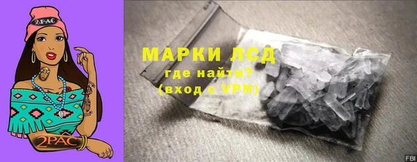 стафф Алзамай